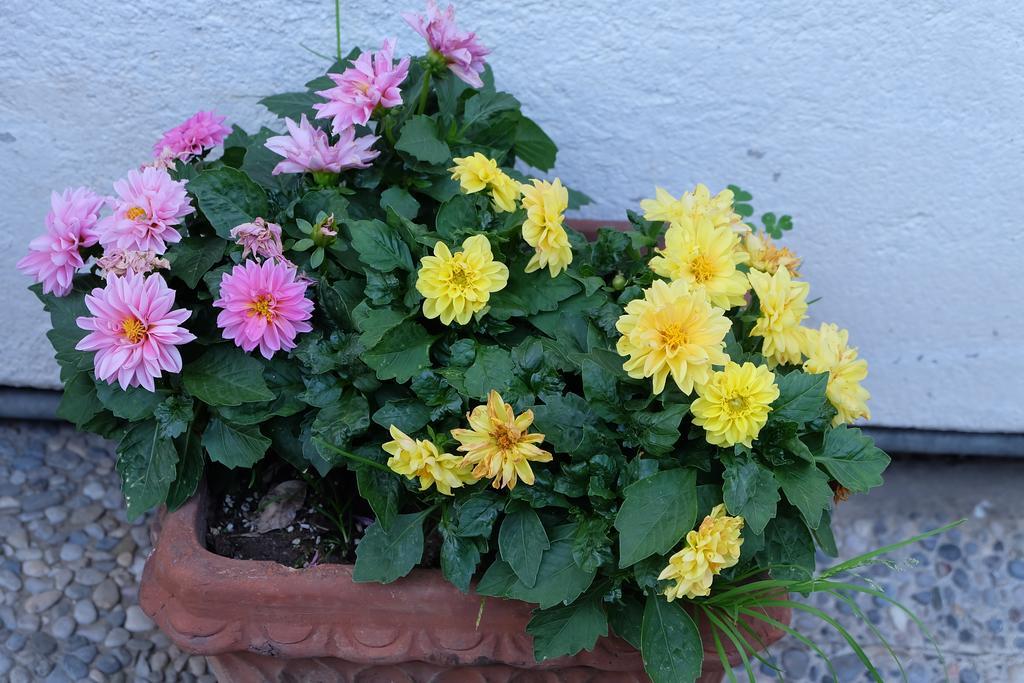 Aria Di Casa B&B Cantù Eksteriør bilde